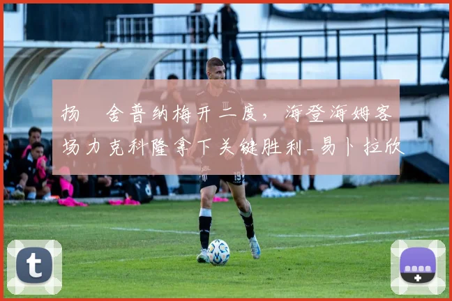 扬・舍普纳梅开二度，海登海姆客场力克科隆拿下关键胜利_易卜拉欣维奇_丁克奇_比尔特